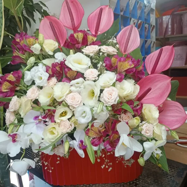 باکس گل